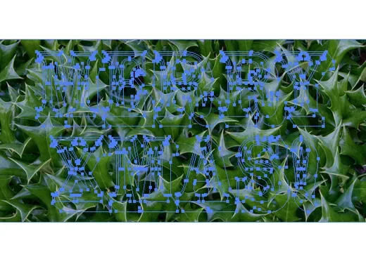 no stroke, no fill appearance